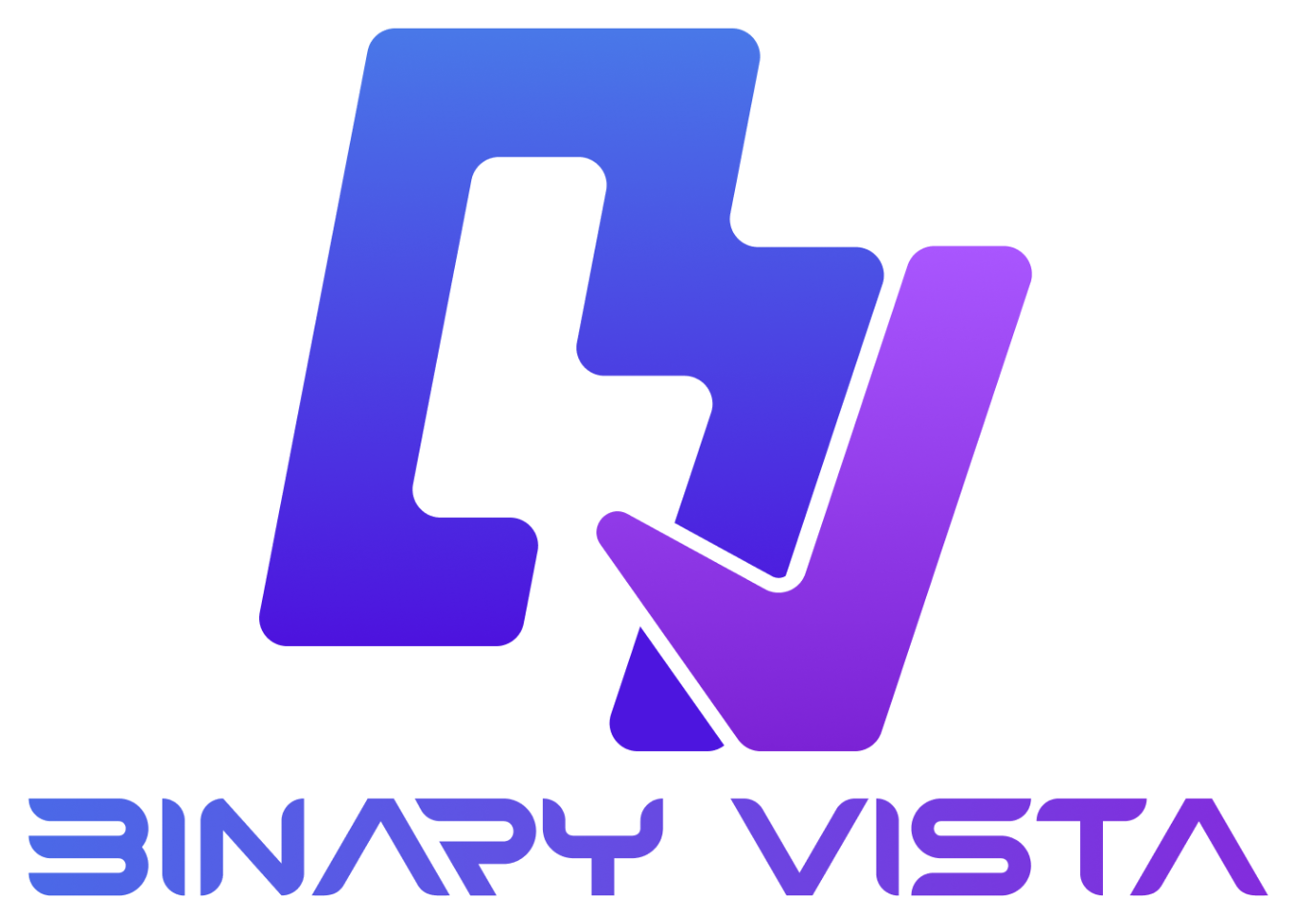 Binary Vista Solutions
